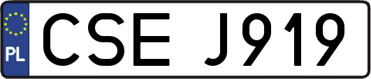 CSEJ919