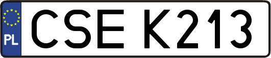 CSEK213