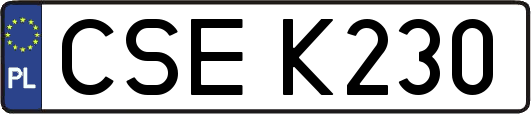 CSEK230