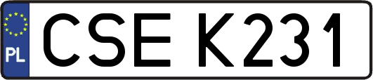CSEK231