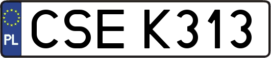 CSEK313