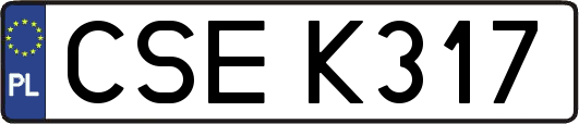 CSEK317