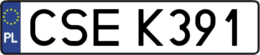 CSEK391