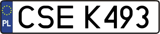 CSEK493