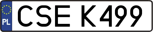 CSEK499
