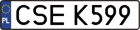 CSEK599