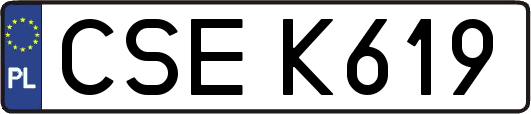 CSEK619