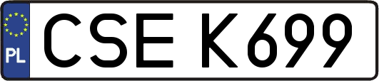 CSEK699