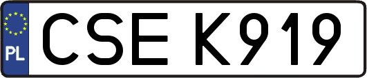 CSEK919