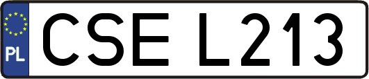 CSEL213