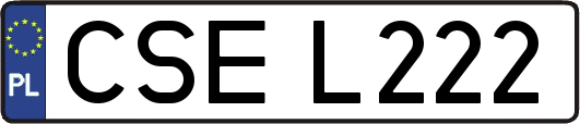 CSEL222