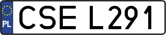 CSEL291