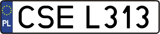 CSEL313