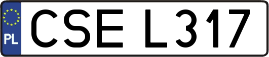 CSEL317