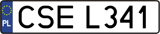CSEL341