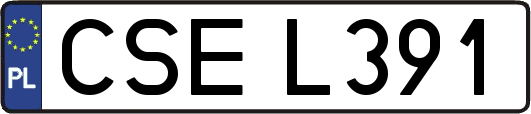 CSEL391