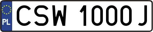 CSW1000J
