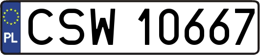 CSW10667