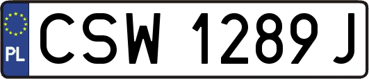 CSW1289J