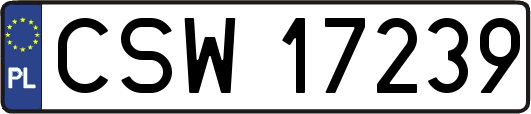 CSW17239