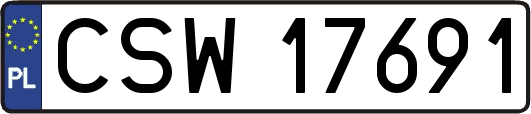 CSW17691