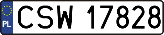 CSW17828