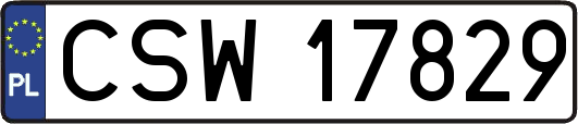 CSW17829