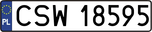 CSW18595