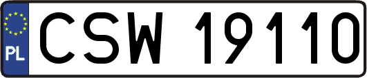 CSW19110
