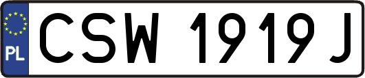 CSW1919J