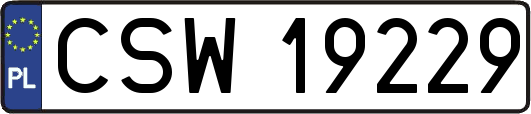 CSW19229