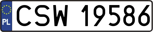 CSW19586