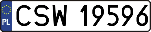 CSW19596