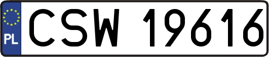 CSW19616