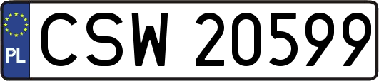 CSW20599