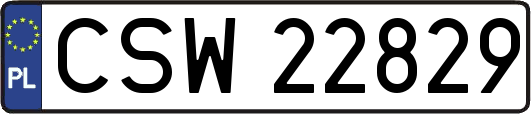 CSW22829