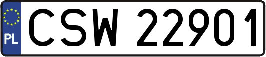 CSW22901