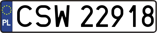 CSW22918