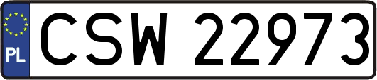 CSW22973
