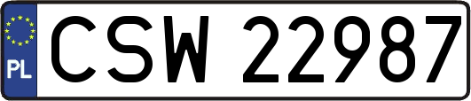 CSW22987