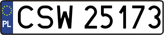 CSW25173