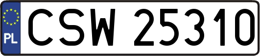 CSW25310