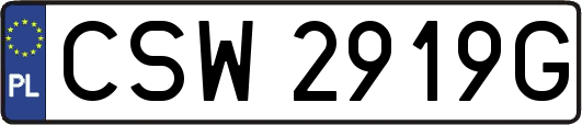 CSW2919G