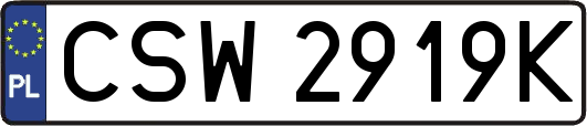 CSW2919K