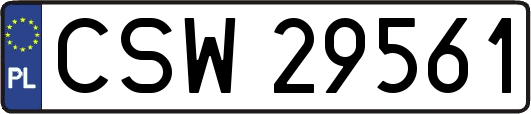 CSW29561