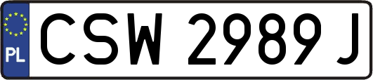 CSW2989J