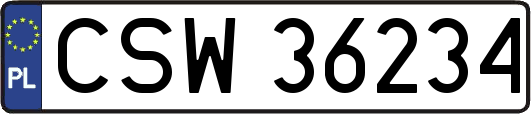 CSW36234
