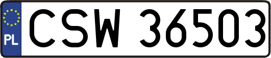 CSW36503