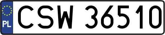 CSW36510