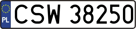 CSW38250